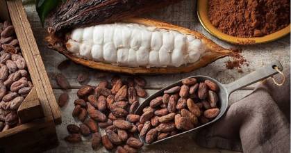 El cacao se sitúa en $ 10.930 por tonelada 