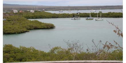 Iberoamérica se reunirá en Galápagos para analizar acciones de conservación