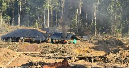 Minería aurífera disparó la deforestación amazónica en 2025