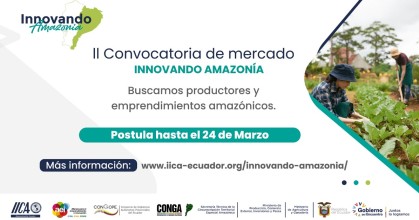 ‘Innovando Amazonía’ busca más productos de la región
