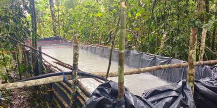 Sucumbíos: Ejército desmantela conexión clandestina de robo de hidrocarburos