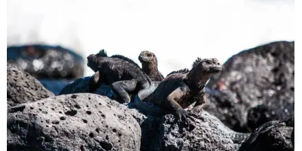 Ecuador destaca en premios internacionales de turismo y posiciona a Galápagos como referente mundial