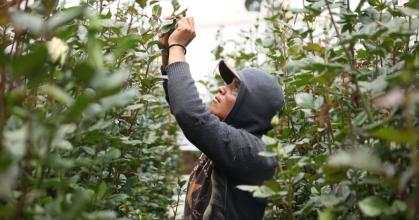 Créditos del BID apuntalan financiamiento productivo en la Amazonía ecuatoriana