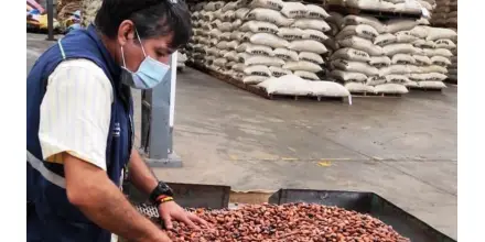 Exportaciones no petroleras impulsaron la economía ecuatoriana en 2025