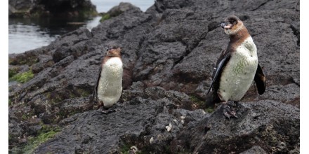 3 parques nacionales fueron reconocidos por EKOS como los mejores destinos para visitar