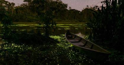 Limoncocha, un destino mágico en la Amazonía para disfrutar en el feriado 