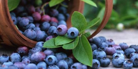 Principales noticias de Ecuador hoy - 18 de febrero de 2026