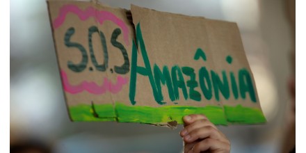 WWF alerta de que deforestación de Amazonía acelera hacia punto de no retorno