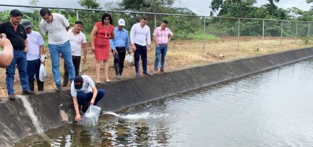 Privados de la libertad trabajan en piscicultura