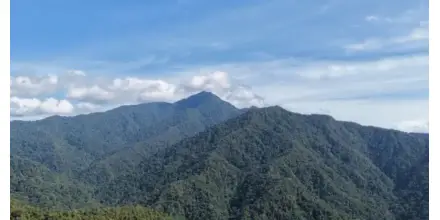 Tincorp cambiará su nombre para reforzar su apuesta por proyecto en Ecuador