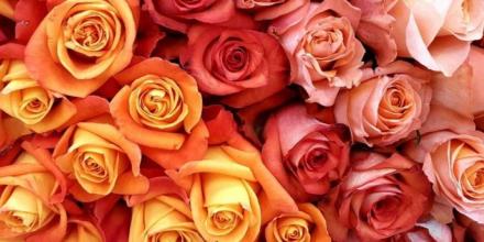 Exportación de flores crece en volumen pero cae en ingresos