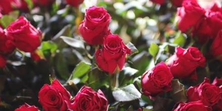 Principales noticias de Ecuador hoy - 4 de febrero de 2026