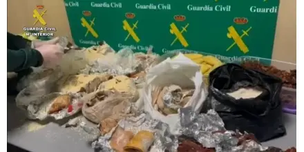 Decomisan cuy y fármacos en vuelos desde Ecuador y China