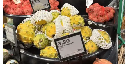 Pitahaya gana espacio en mercados internacionales