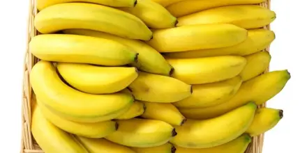 Acuerdo con Corea del Sur impulsará exportaciones bananeras de Ecuador