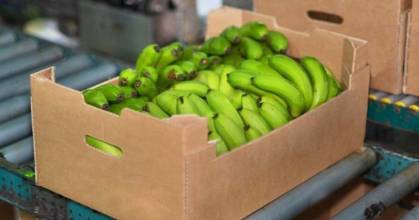 La caja de banano sube a $ 7,50 desde 2026