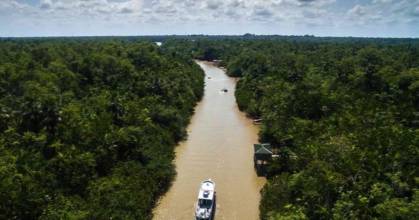 7 países amazónicos crearon un instrumento financiero de $ 1.000 millones