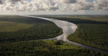 Amazonía: Áreas protegidas y territorios indígenas albergan la mayor parte del carbono 