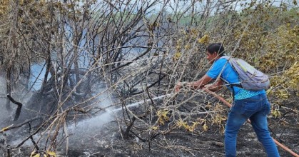 Un incendio afectó a media hectárea de bosque de manglar en Galápagos