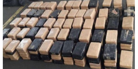 Incautan en España 100 kilos de cocaína enviada de Ecuador por una banda de colombianos