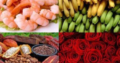 Gobierno destaca avances económicos y sociales al cierre de 2025 