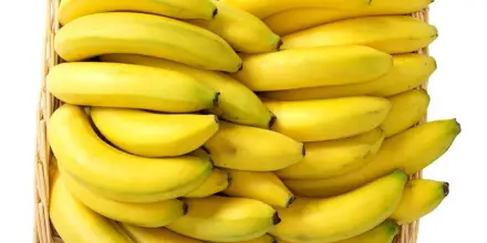 Noboa podrá pedir que se fije precio del banano