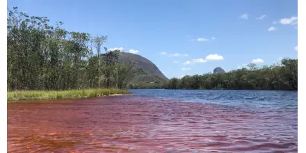 Caño San Joaquín en Guainía: el “río rojo” que se convierte en la nueva joya turística de Colombia