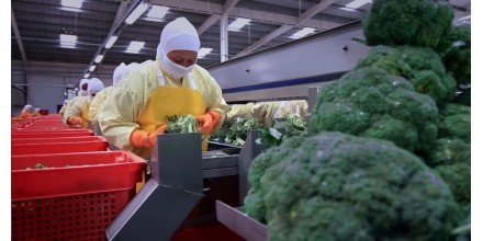 Agro apuesta por tecnología para crecer en 2026