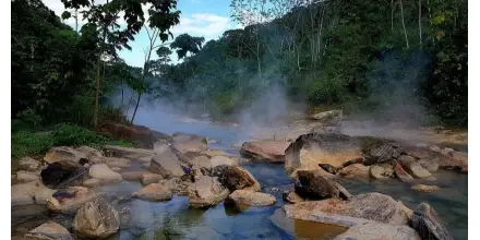 Perú: Río Hirviente en Huánuco revela más de 70 especies en estudio científico amazónico