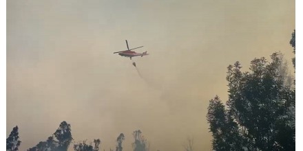 22 incendios forestales se registraron ayer en Quito