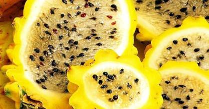 BanEcuador impulsa la producción y exportación de pitahaya amarilla 