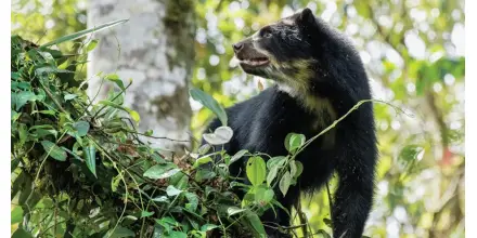 El Chocó Andino: un rincón de naturaleza, aventura y cultura a un paso de Quito
