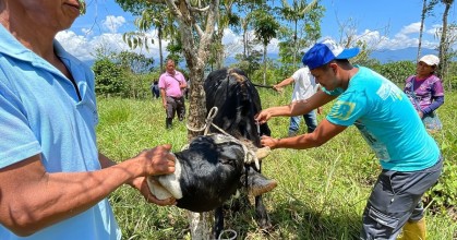 Ganaderos de Napo desarrollan habilidades para la producción sostenible