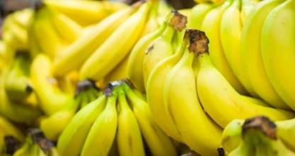 Bananera Noboa redujo en un 78 % su deuda tributaria