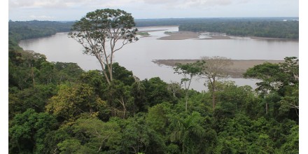 Pueblos indígenas piden a la humanidad actuar con urgencia para salvar la Amazonía