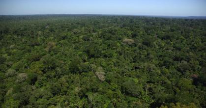 Colombia prohibió la minería y el petróleo en su bioma amazónico