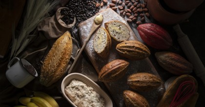 La producción de cacao fue declarada como actividad de interés turístico 