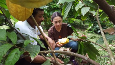 Chocolate ecuatoriano fue promocionado en degustación virtual