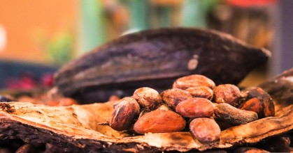 Ecuador busca incrementar su exportación de cacao