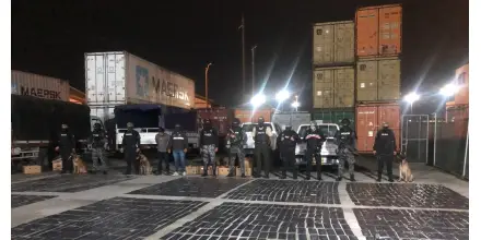 La Policía halló 293 kilos de cocaína en envíos de bananas que iban a Rotterdam