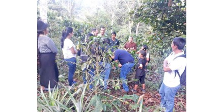 Caficultores de la provincia de Zamora Chinchipe son capacitados