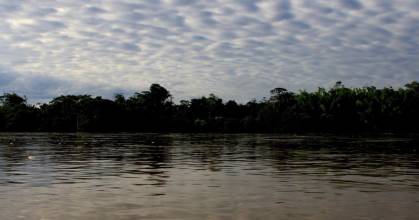 Yasunidos presentó acción de protección por intento de contacto con Tagaeri y Taromenane