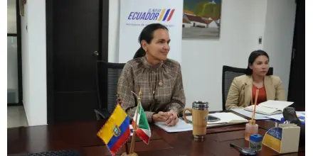 Inés Manzano descarta cargo diplomático tras su salida del Ministerio de Energía