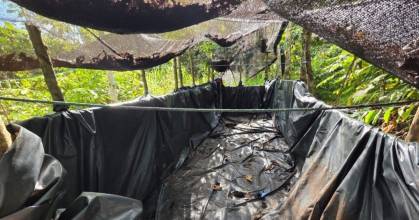 Una piscina clandestina fue hallada en Sucumbíos 