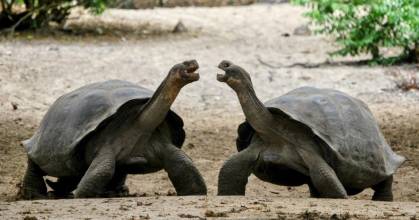 WWF apoya ley de áreas protegidas de Ecuador pero pide ajustes