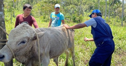 Ganaderos de Napo reciben asistencia técnica