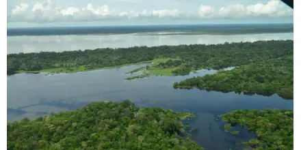 Carreteras ilegales, coca y ganadería aceleran la devastación de la Amazonía colombiana