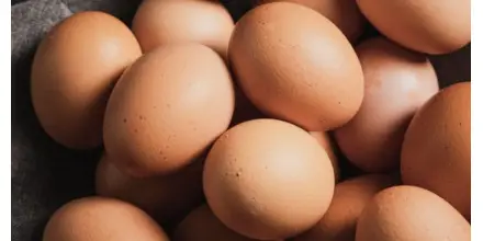 Ecuador exportará huevos de mesa hacia Emiratos Árabes Unidos