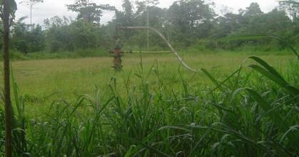 2 trabajadores de Petroecuador fueron hallados asesinados en Shushufindi