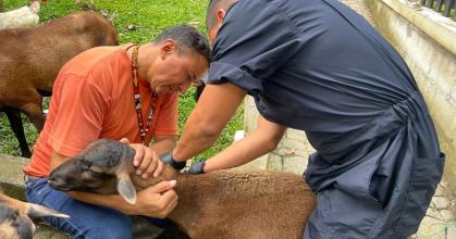 Productores de Napo recibieron servicios veterinarios gratuitos